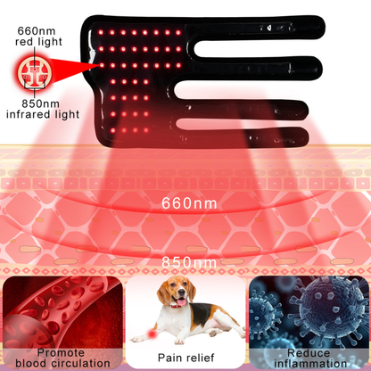 Pet Red Therapy Leg Wrap - Set of 2