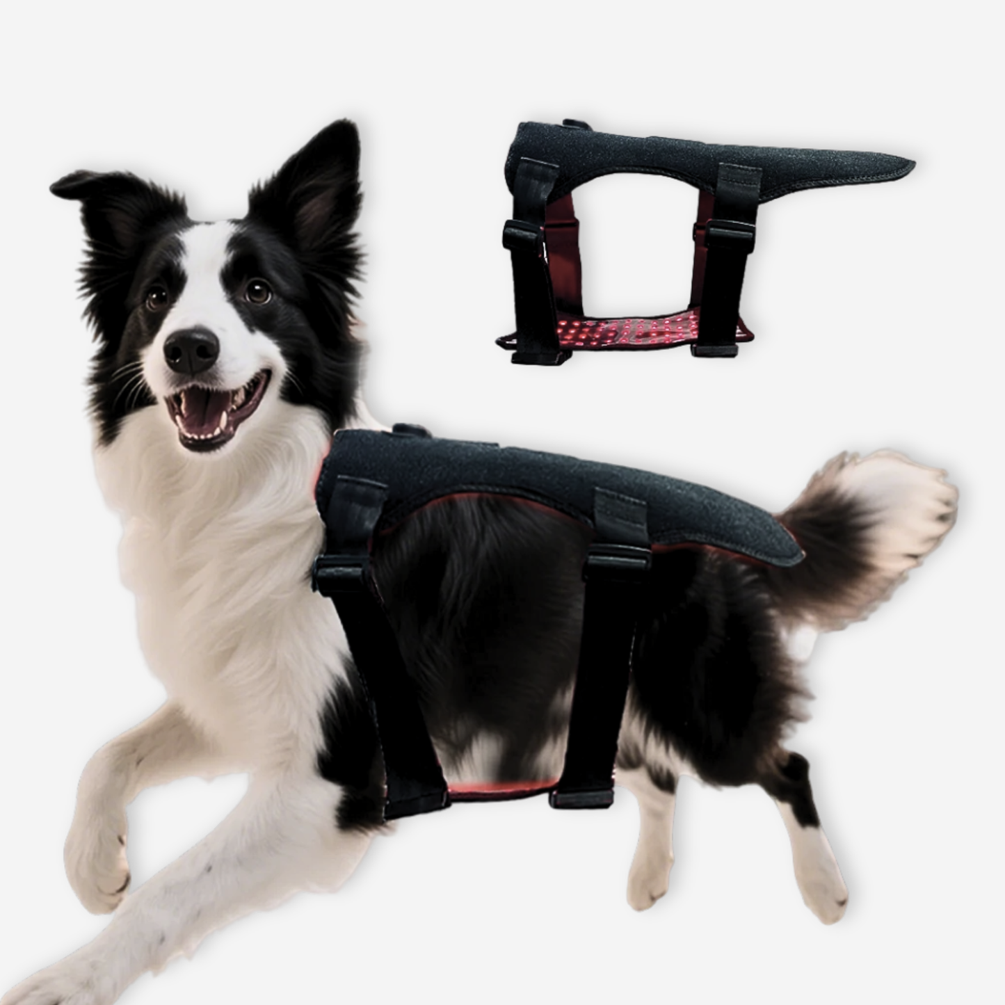 Pet Full Body Red Therapy Wrap
