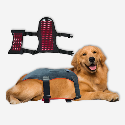 Pet Full Body Red Therapy Wrap