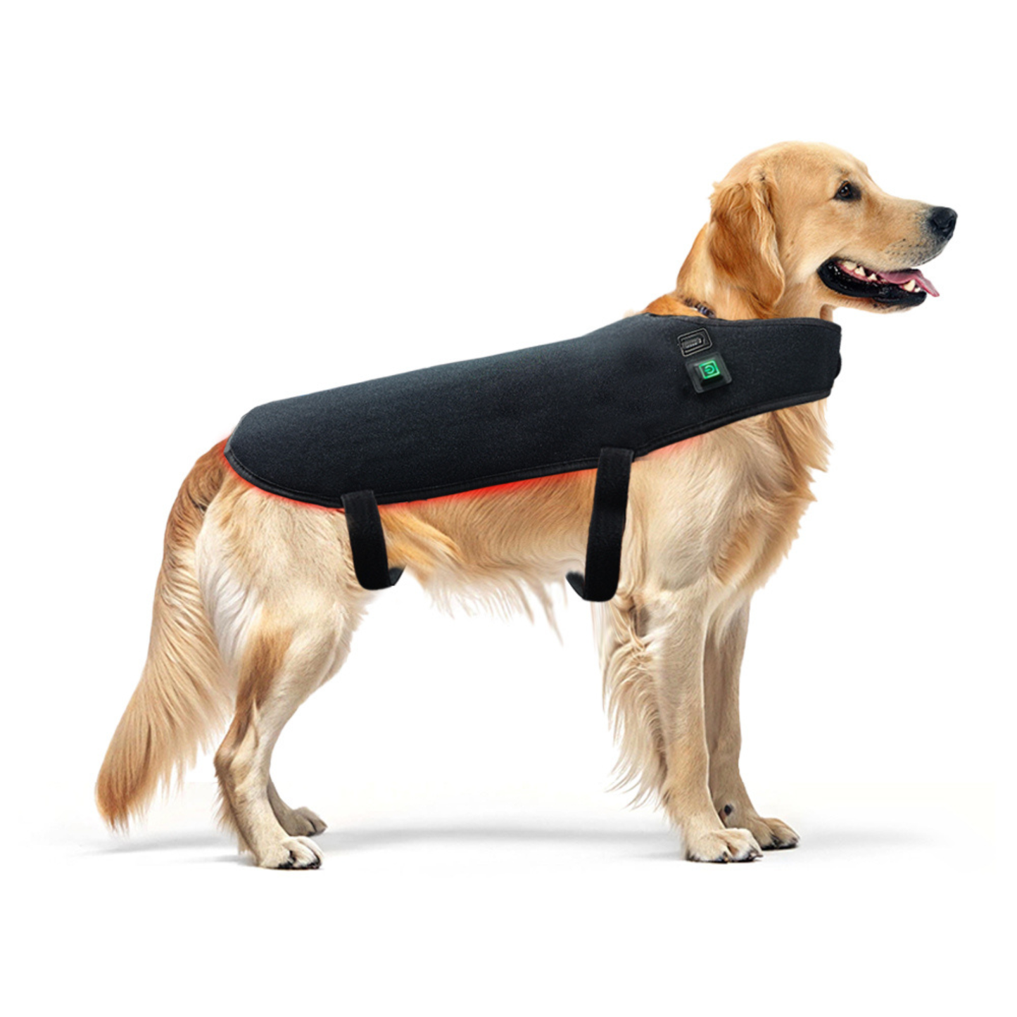 Pet Red Therapy Wrap