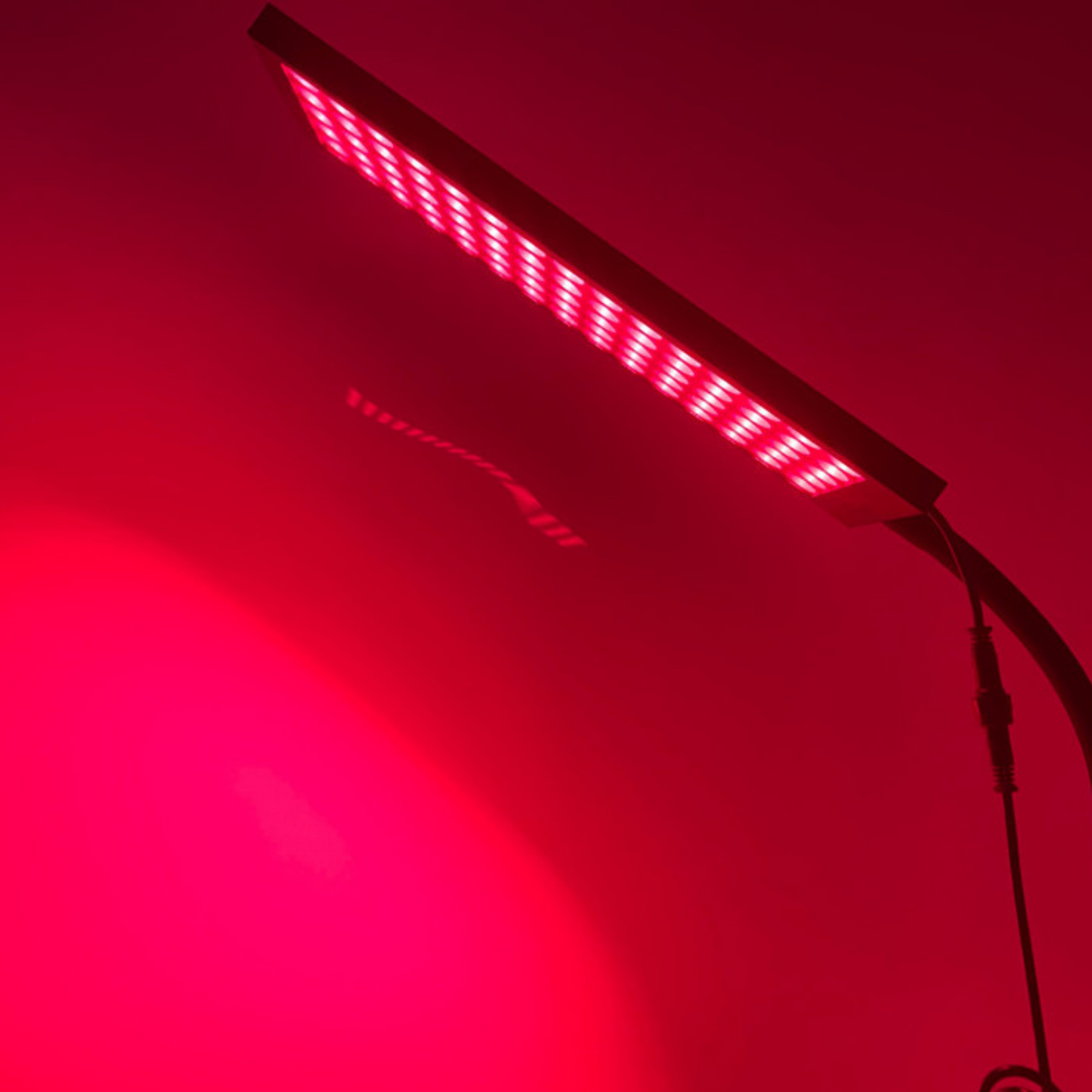 Infrared + Red Light Standing Panel