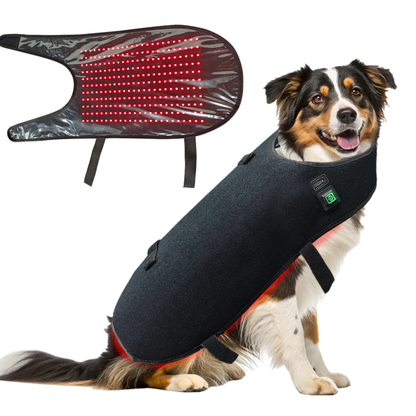 Pet Red Therapy Wrap