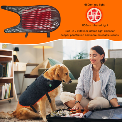 Pet Red Therapy Wrap