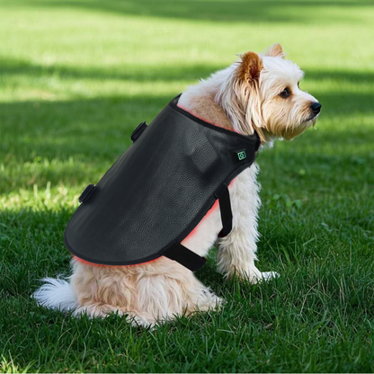 Pet Red Therapy Wrap