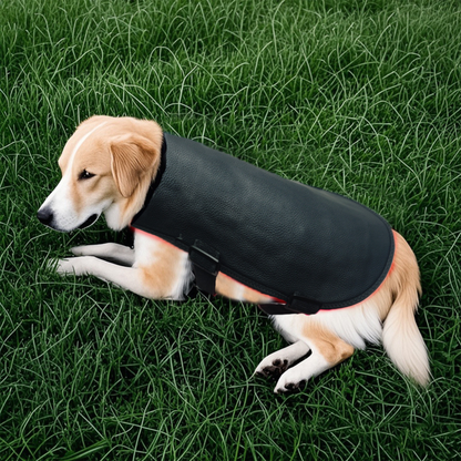 Pet Red Therapy Wrap