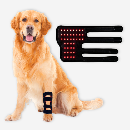 Pet Red Therapy Leg Wrap - Set of 2